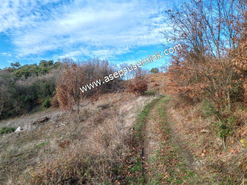 21.136 m2 Yatırımlık Tarla Bağ Bahçe Hobi Bahçesi Resmi Yol Yok.