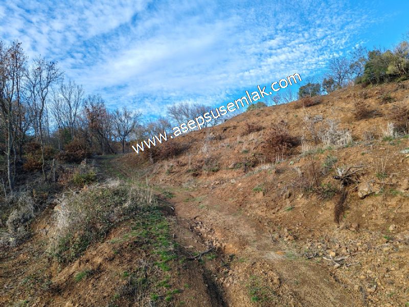 21.136 m2 Yatırımlık Tarla Bağ Bahçe Hobi Bahçesi Resmi Yol Yok.