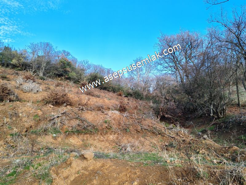 21.136 m2 Yatırımlık Tarla Bağ Bahçe Hobi Bahçesi Resmi Yol Yok.