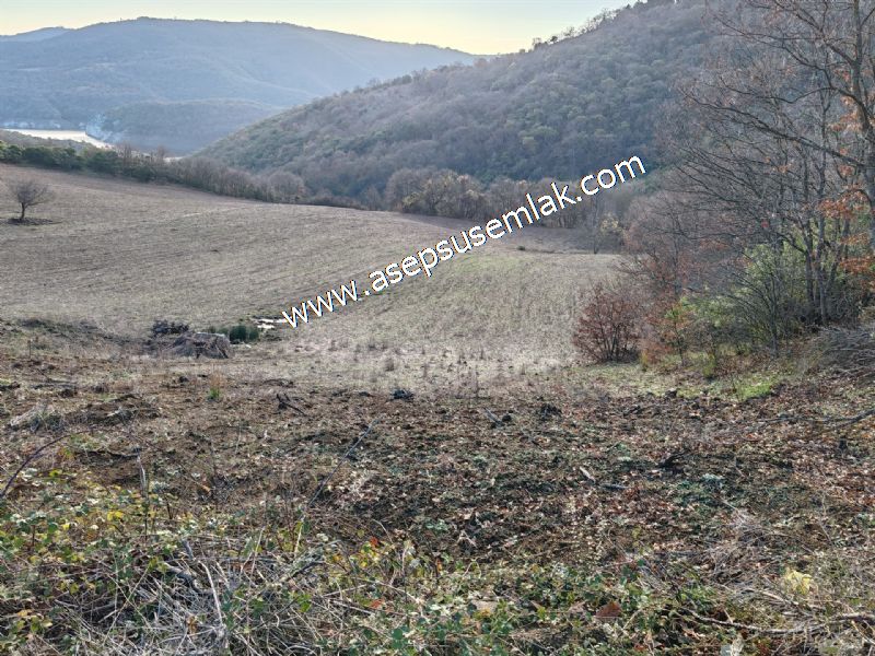 21.136 m2 Yatırımlık Tarla Bağ Bahçe Hobi Bahçesi Resmi Yol Yok.