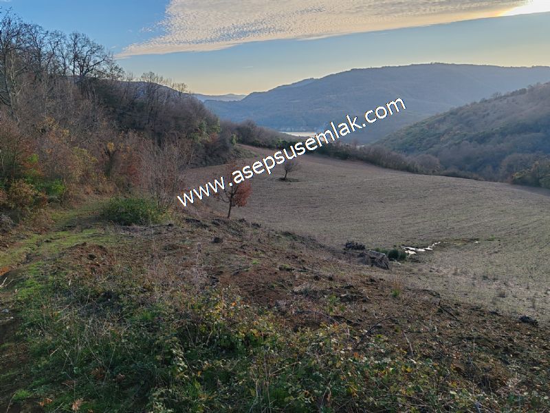 21.136 m2 Yatırımlık Tarla Bağ Bahçe Hobi Bahçesi Resmi Yol Yok.