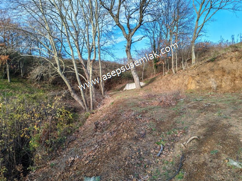 21.136 m2 Yatırımlık Tarla Bağ Bahçe Hobi Bahçesi Resmi Yol Yok.