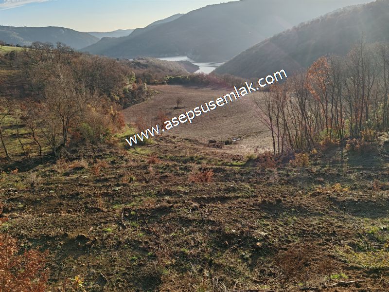 21.136 m2 Yatırımlık Tarla Bağ Bahçe Hobi Bahçesi Resmi Yol Yok.