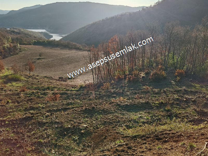 21.136 m2 Yatırımlık Tarla Bağ Bahçe Hobi Bahçesi Resmi Yol Yok.