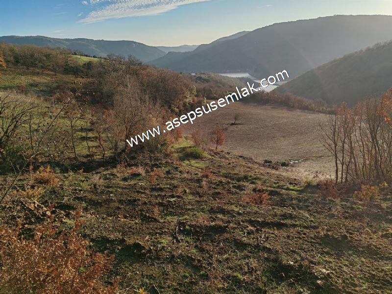21.136 m2 Yatırımlık Tarla Bağ Bahçe Hobi Bahçesi Resmi Yol Yok.