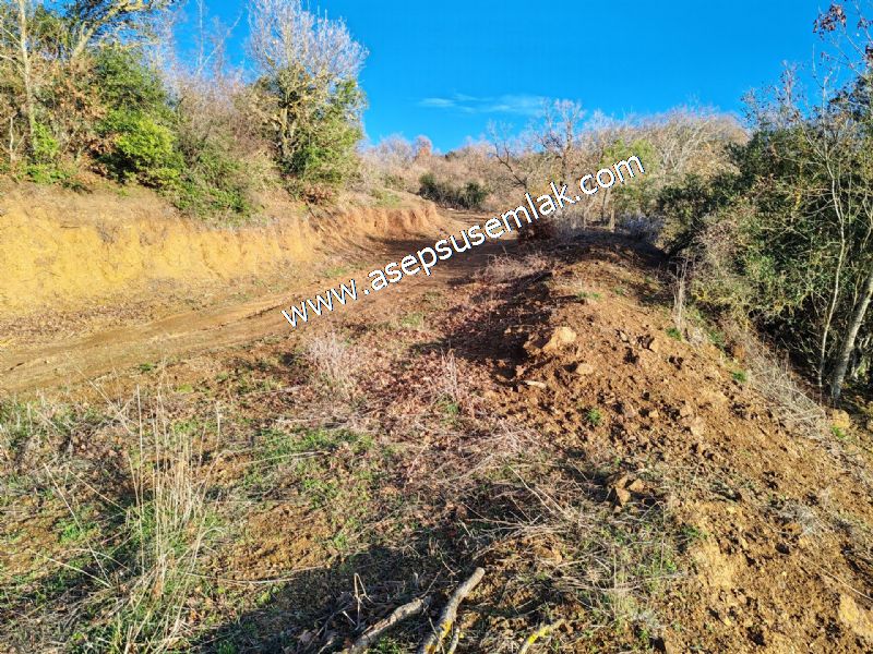 21.136 m2 Yatırımlık Tarla Bağ Bahçe Hobi Bahçesi Resmi Yol Yok.