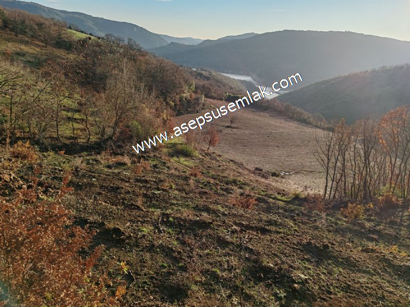 21.136 m2 Yatırımlık Tarla Bağ Bahçe Hobi Bahçesi Resmi Yol Yok.