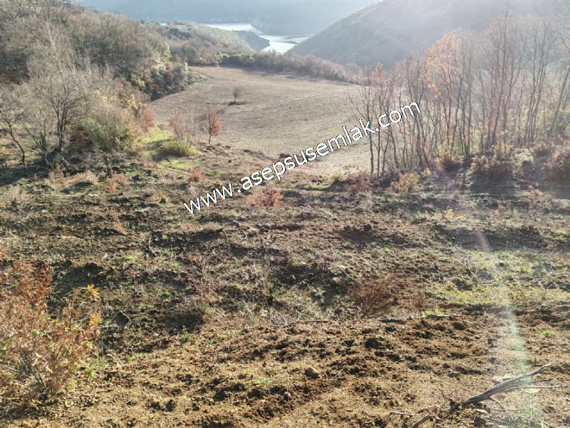 21.136 m2 Yatırımlık Tarla Bağ Bahçe Hobi Bahçesi Resmi Yol Yok.