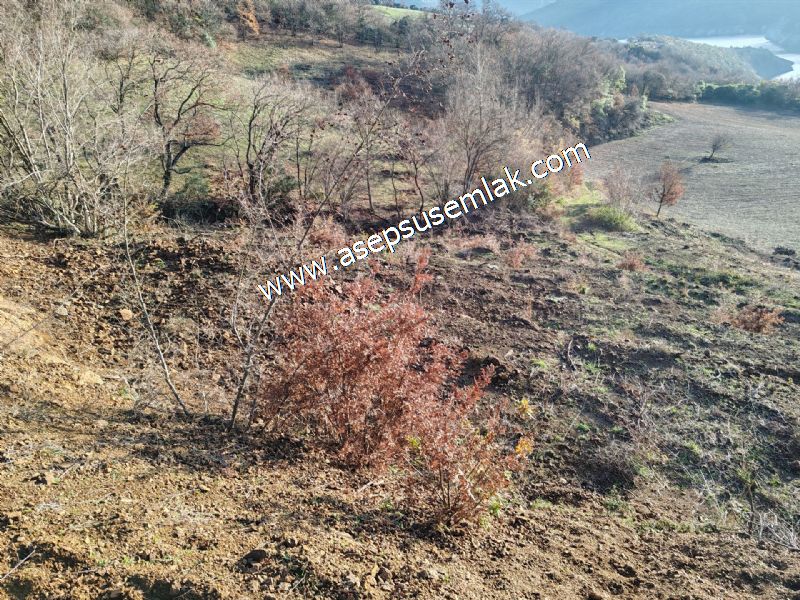 21.136 m2 Yatırımlık Tarla Bağ Bahçe Hobi Bahçesi Resmi Yol Yok.