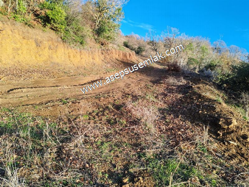 21.136 m2 Yatırımlık Tarla Bağ Bahçe Hobi Bahçesi Resmi Yol Yok.