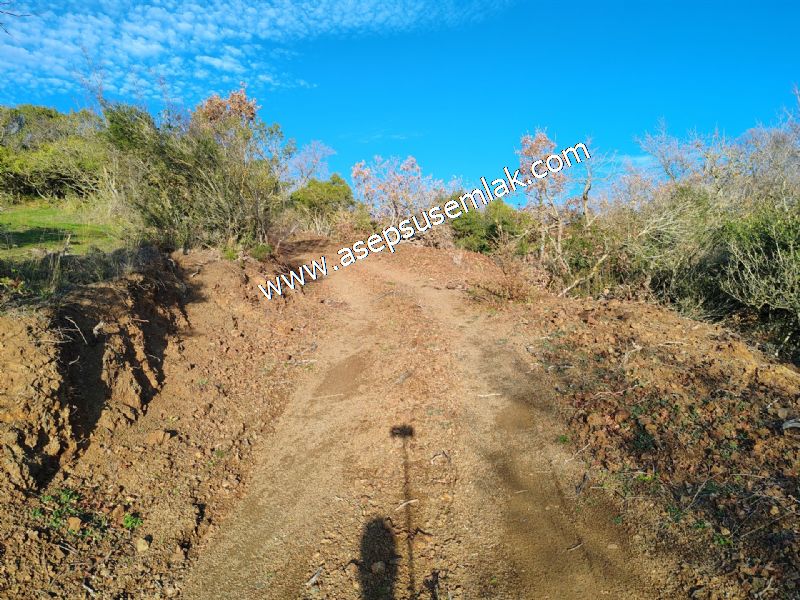 21.136 m2 Yatırımlık Tarla Bağ Bahçe Hobi Bahçesi Resmi Yol Yok.