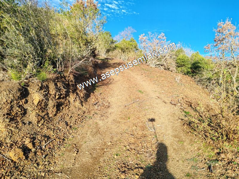 21.136 m2 Yatırımlık Tarla Bağ Bahçe Hobi Bahçesi Resmi Yol Yok.