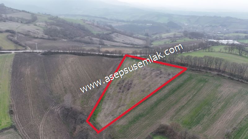 7.350m2 Çiftlik Bağ-Bahçe Kadastro Yola Cepheli Gönen Çınarlı'da