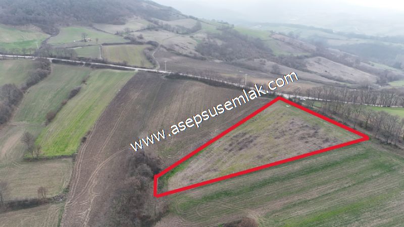 7.350m2 Çiftlik Bağ-Bahçe Kadastro Yola Cepheli Gönen Çınarlı'da