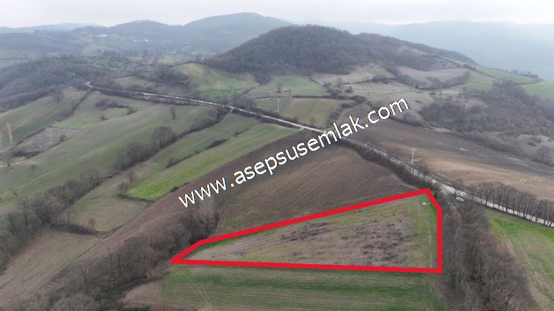 7.350m2 Çiftlik Bağ-Bahçe Kadastro Yola Cepheli Gönen Çınarlı'da