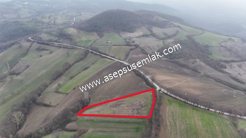 7.350m2 Çiftlik Bağ-Bahçe Kadastro Yola Cepheli Gönen Çınarlı'da