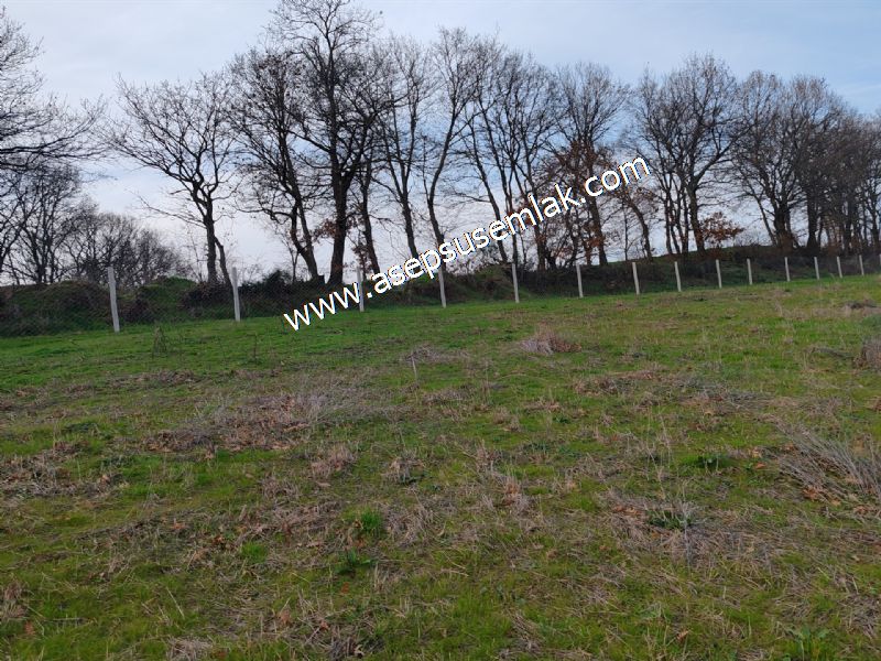 7.350m2 Çiftlik Bağ-Bahçe Kadastro Yola Cepheli Gönen Çınarlı'da