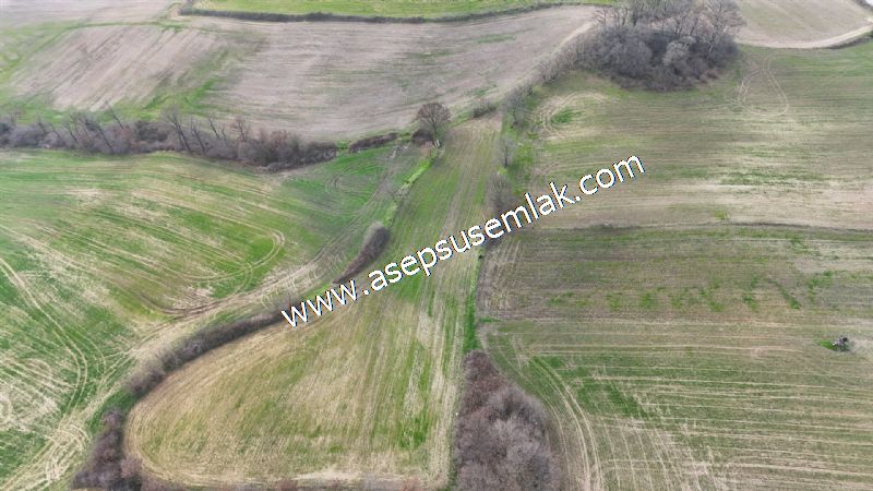 5.400m2 Tarla Bağ-Bahçe Kadastro Yola 1 Parsel Gönen Çakmak'taaa