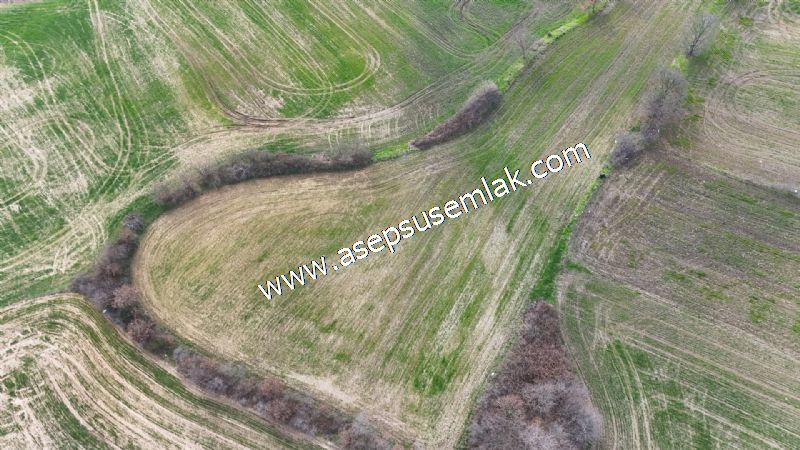 5.400m2 Tarla Bağ-Bahçe Kadastro Yola 1 Parsel Gönen Çakmak'taaa