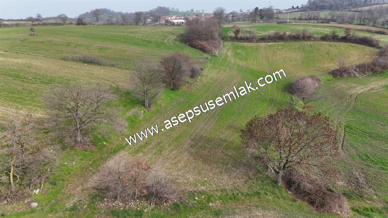 5.400m2 Tarla Bağ-Bahçe Kadastro Yola 1 Parsel Gönen Çakmak'taaa