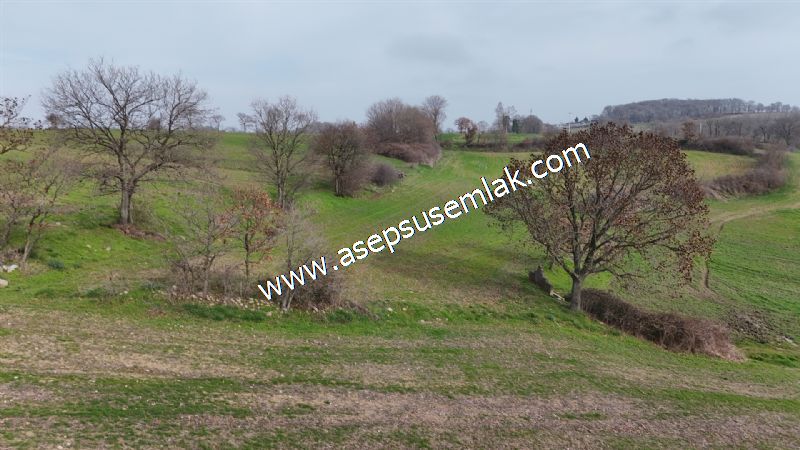 5.400m2 Tarla Bağ-Bahçe Kadastro Yola 1 Parsel Gönen Çakmak'taaa