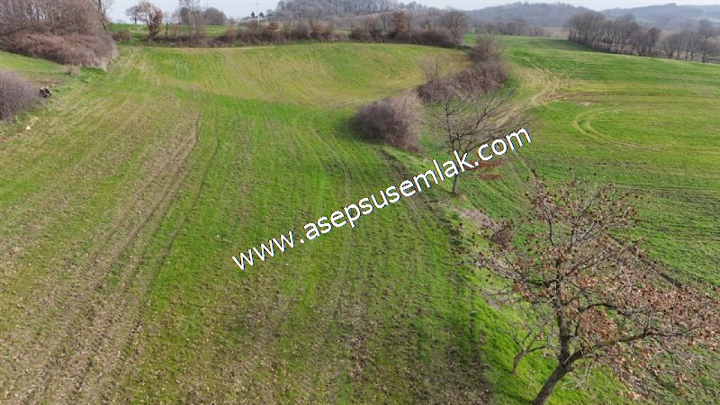 5.400m2 Tarla Bağ-Bahçe Kadastro Yola 1 Parsel Gönen Çakmak'taaa