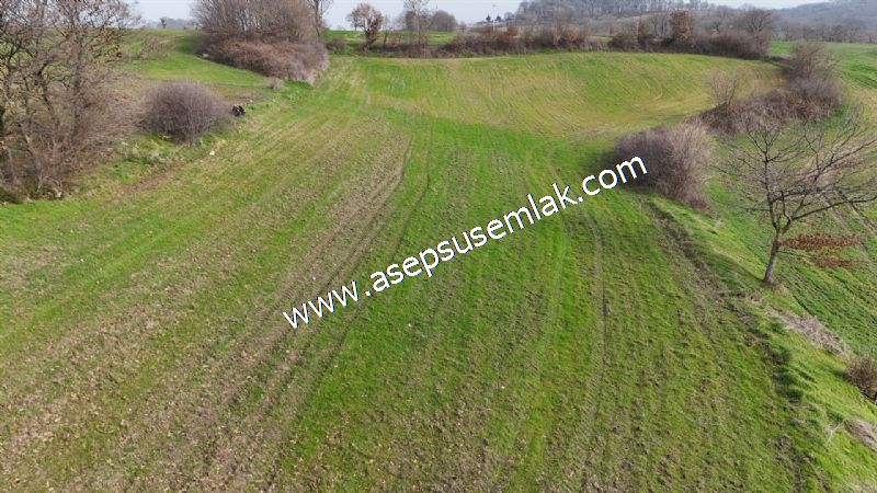 5.400m2 Tarla Bağ-Bahçe Kadastro Yola 1 Parsel Gönen Çakmak'taaa