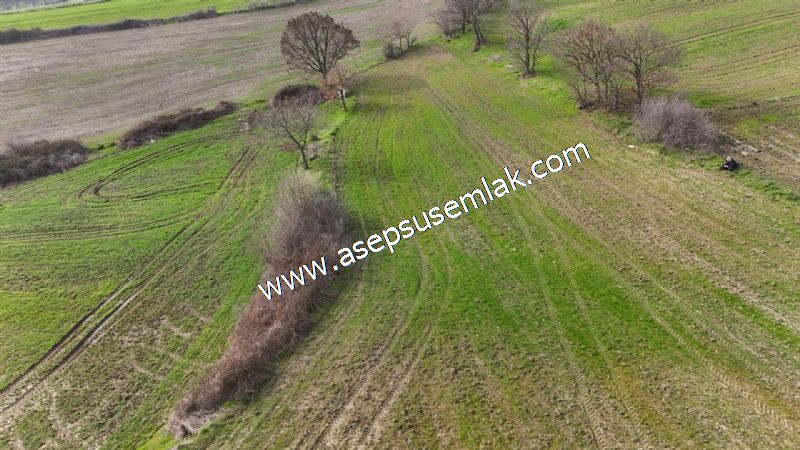 5.400m2 Tarla Bağ-Bahçe Kadastro Yola 1 Parsel Gönen Çakmak'taaa