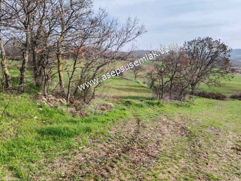 5.400m2 Tarla Bağ-Bahçe Kadastro Yola 1 Parsel Gönen Çakmak'taaa