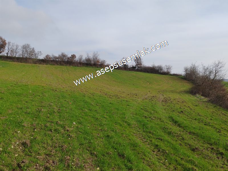 5.400m2 Tarla Bağ-Bahçe Kadastro Yola 1 Parsel Gönen Çakmak'taaa