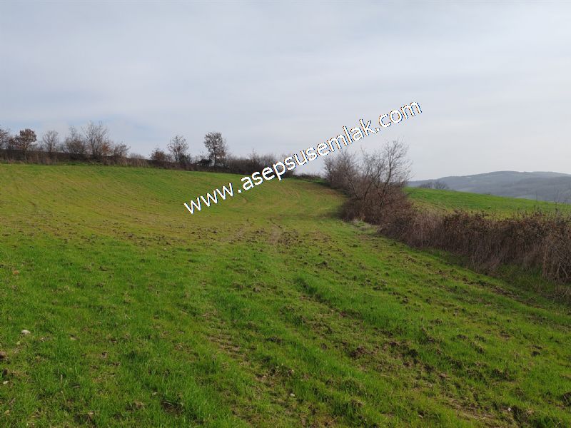 5.400m2 Tarla Bağ-Bahçe Kadastro Yola 1 Parsel Gönen Çakmak'taaa