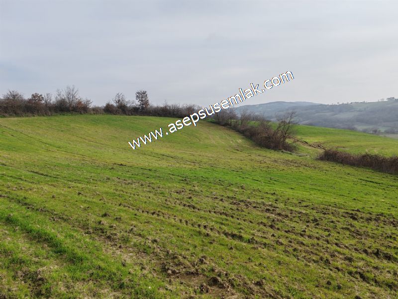 5.400m2 Tarla Bağ-Bahçe Kadastro Yola 1 Parsel Gönen Çakmak'taaa