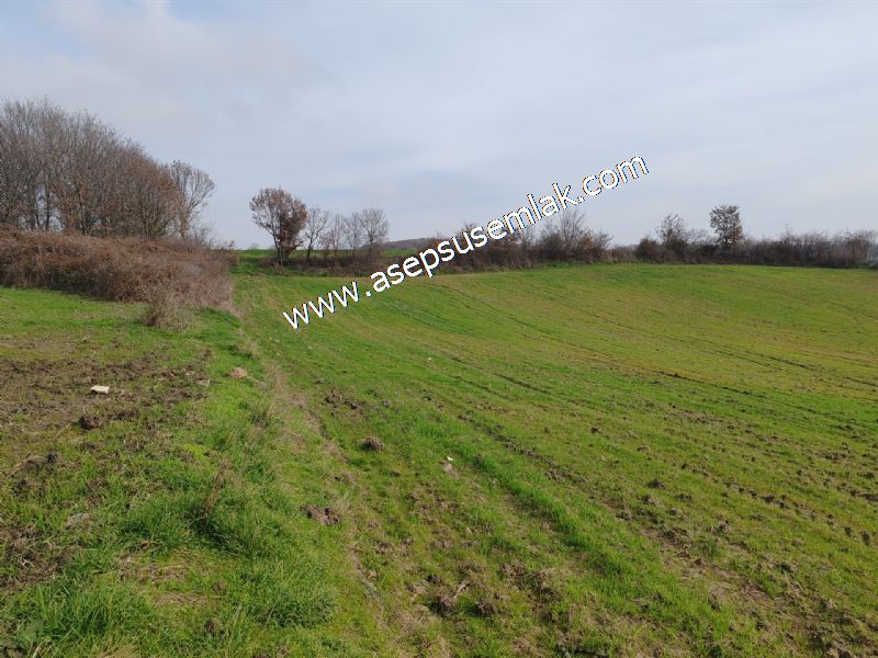 5.400m2 Tarla Bağ-Bahçe Kadastro Yola 1 Parsel Gönen Çakmak'taaa