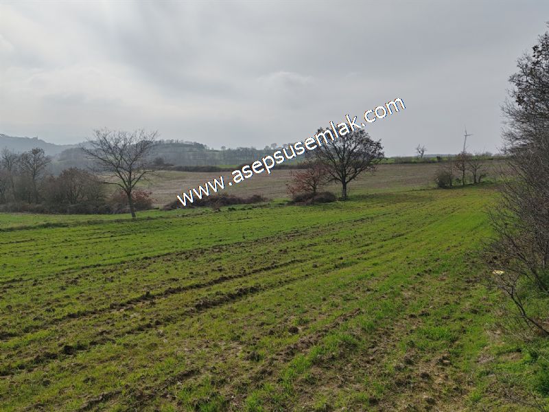 5.400m2 Tarla Bağ-Bahçe Kadastro Yola 1 Parsel Gönen Çakmak'taaa