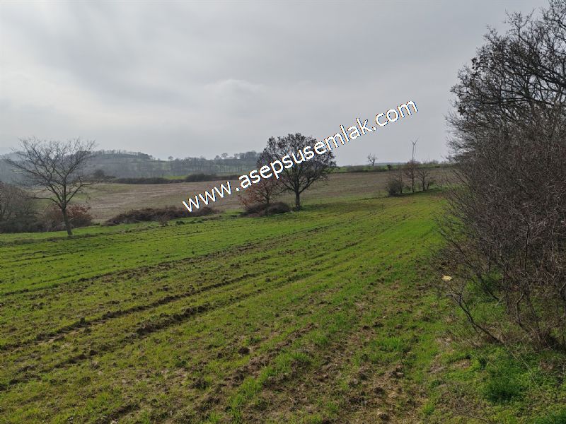 5.400m2 Tarla Bağ-Bahçe Kadastro Yola 1 Parsel Gönen Çakmak'taaa