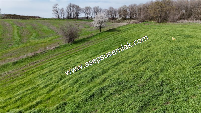 10.602 m2 Çiftlik, Bağ-Bahçe, Hobi Bahçe, Kadastro Yola Cepheli