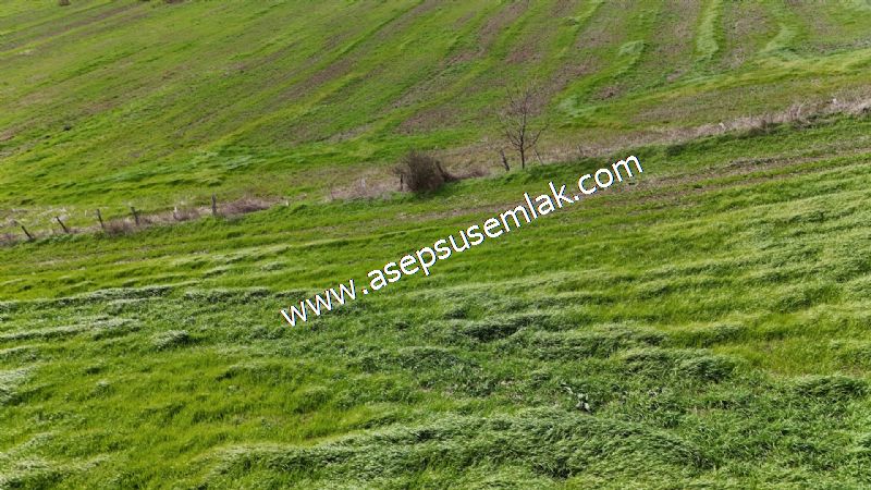 10.602 m2 Çiftlik, Bağ-Bahçe, Hobi Bahçe, Kadastro Yola Cepheli