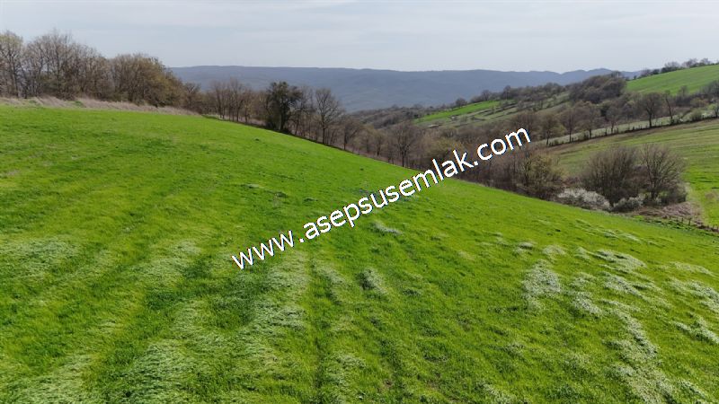 10.602 m2 Çiftlik, Bağ-Bahçe, Hobi Bahçe, Kadastro Yola Cepheli