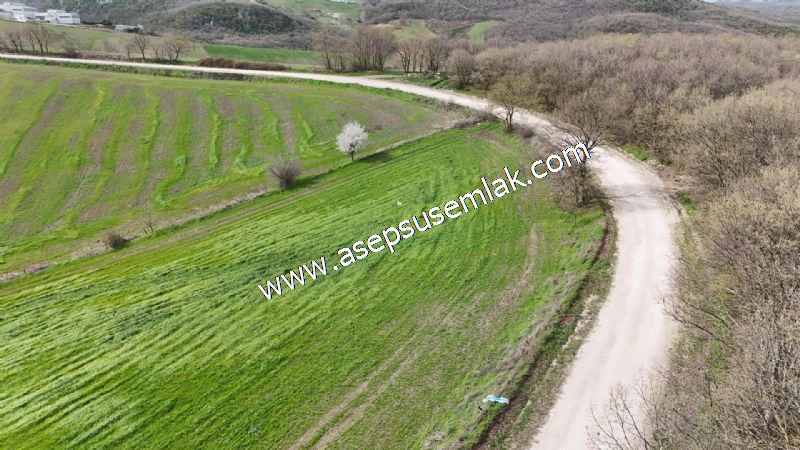 10.602 m2 Çiftlik, Bağ-Bahçe, Hobi Bahçe, Kadastro Yola Cepheli