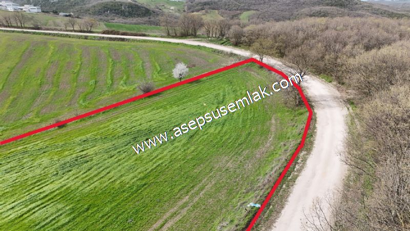10.602 m2 Çiftlik, Bağ-Bahçe, Hobi Bahçe, Kadastro Yola Cepheli