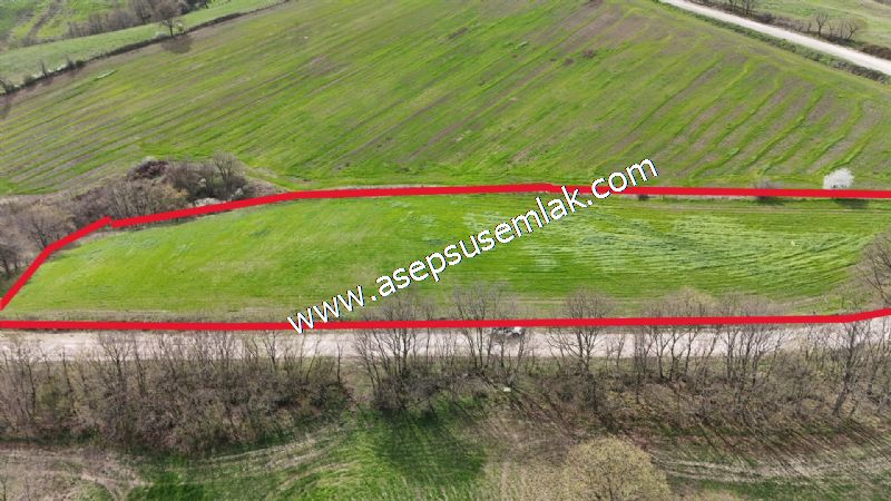 10.602 m2 Çiftlik, Bağ-Bahçe, Hobi Bahçe, Kadastro Yola Cepheli