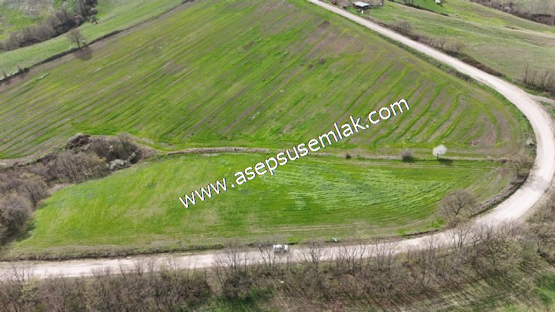 10.602 m2 Çiftlik, Bağ-Bahçe, Hobi Bahçe, Kadastro Yola Cepheli