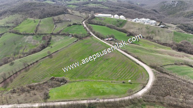 10.602 m2 Çiftlik, Bağ-Bahçe, Hobi Bahçe, Kadastro Yola Cepheli