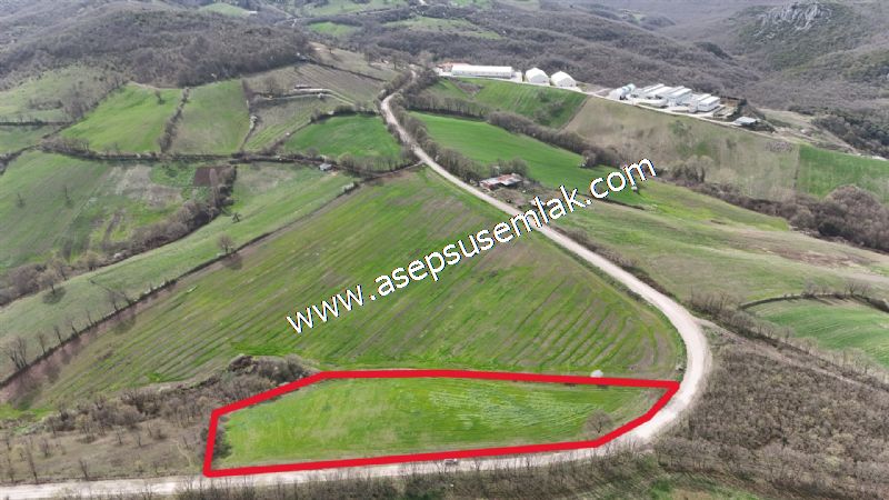10.602 m2 Çiftlik, Bağ-Bahçe, Hobi Bahçe, Kadastro Yola Cepheli