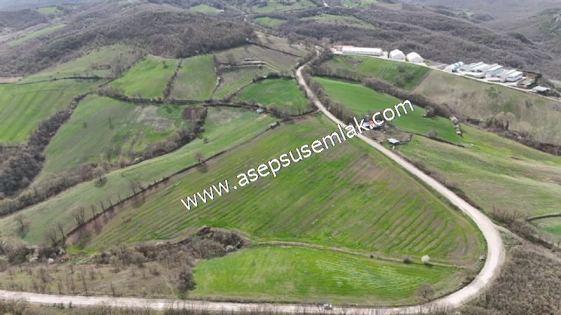 10.602 m2 Çiftlik, Bağ-Bahçe, Hobi Bahçe, Kadastro Yola Cepheli