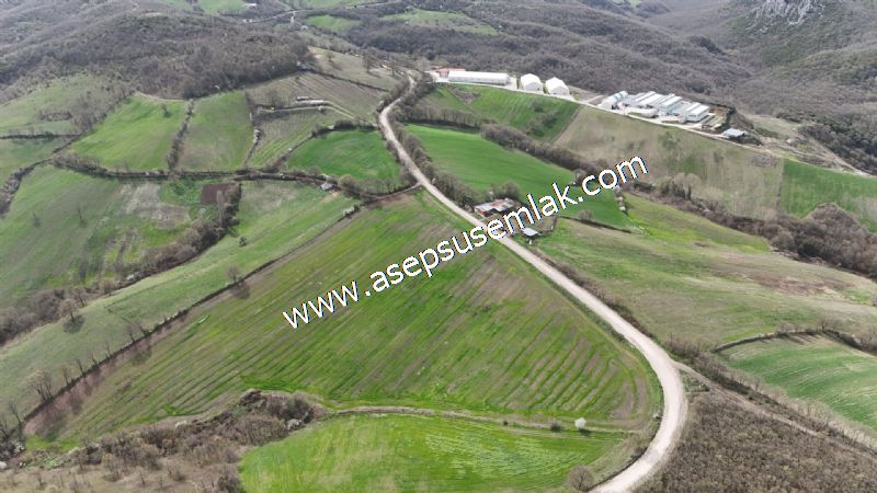 10.602 m2 Çiftlik, Bağ-Bahçe, Hobi Bahçe, Kadastro Yola Cepheli