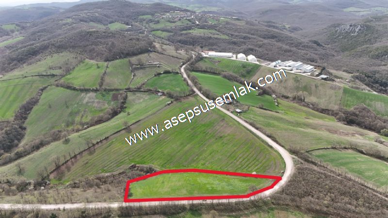 10.602 m2 Çiftlik, Bağ-Bahçe, Hobi Bahçe, Kadastro Yola Cepheli