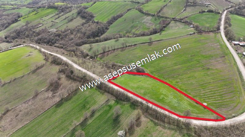 10.602 m2 Çiftlik, Bağ-Bahçe, Hobi Bahçe, Kadastro Yola Cepheli