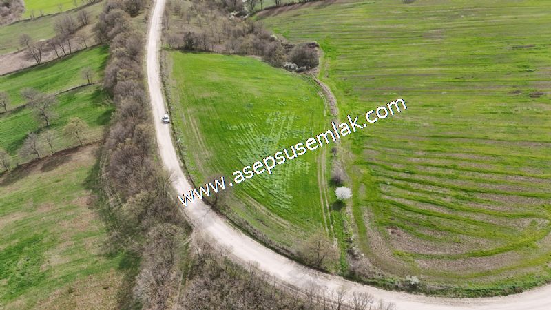 10.602 m2 Çiftlik, Bağ-Bahçe, Hobi Bahçe, Kadastro Yola Cepheli