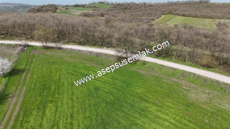 10.602 m2 Çiftlik, Bağ-Bahçe, Hobi Bahçe, Kadastro Yola Cepheli